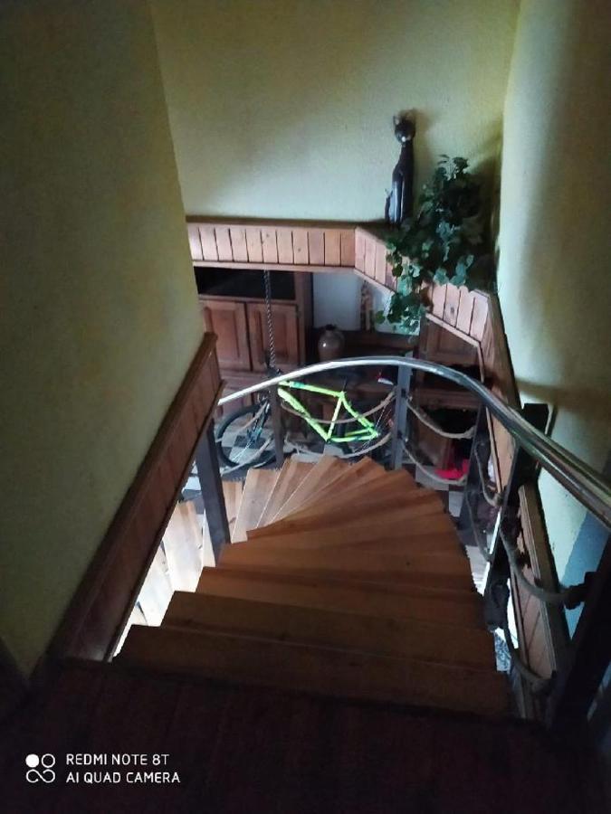 Penzion U Lipy Decin Exterior foto