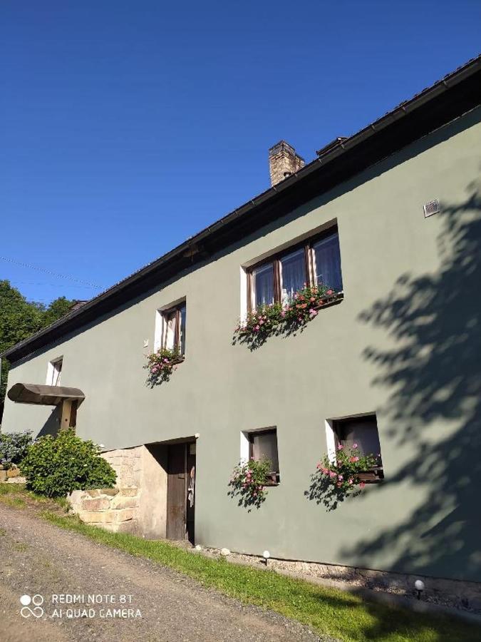 Penzion U Lipy Decin Exterior foto