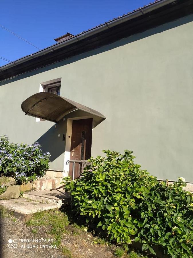 Penzion U Lipy Decin Exterior foto