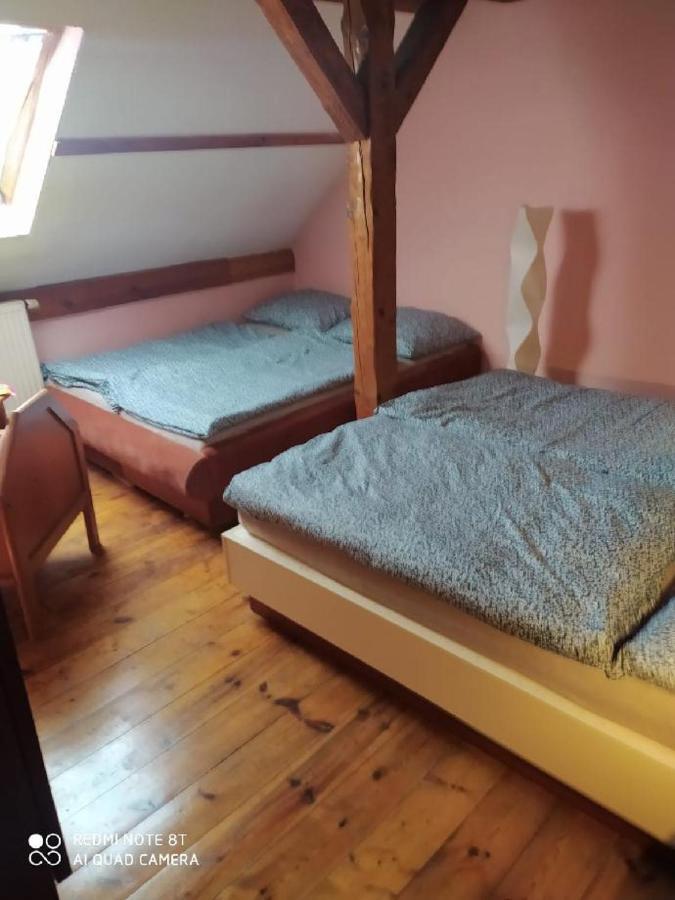 Penzion U Lipy Decin Exterior foto